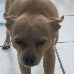 Meet your Posher, Jose